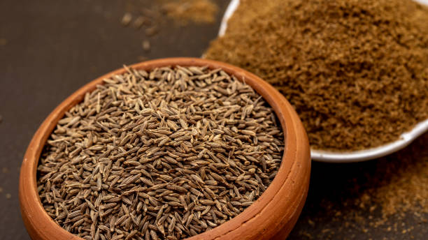 Gilgit Baltistan’s Special Cumin |  Zeera | pahadi zeera | Himalayan Cumin seeds