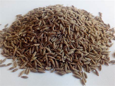 Gilgit Baltistan’s Special Cumin |  Zeera | pahadi zeera | Himalayan Cumin seeds