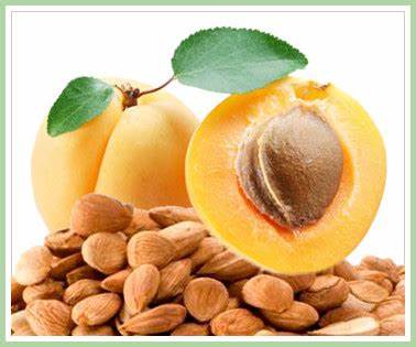 Health Organizer - Premium Apricot Kernels  - Natural, Organic, and Chemical-Free