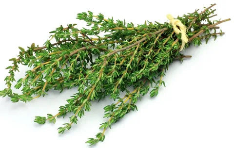 Thyme Tea | Tumuru Tea | Wild Thyme (Baltistani Green Tea) - 100 g | تمورو چائے